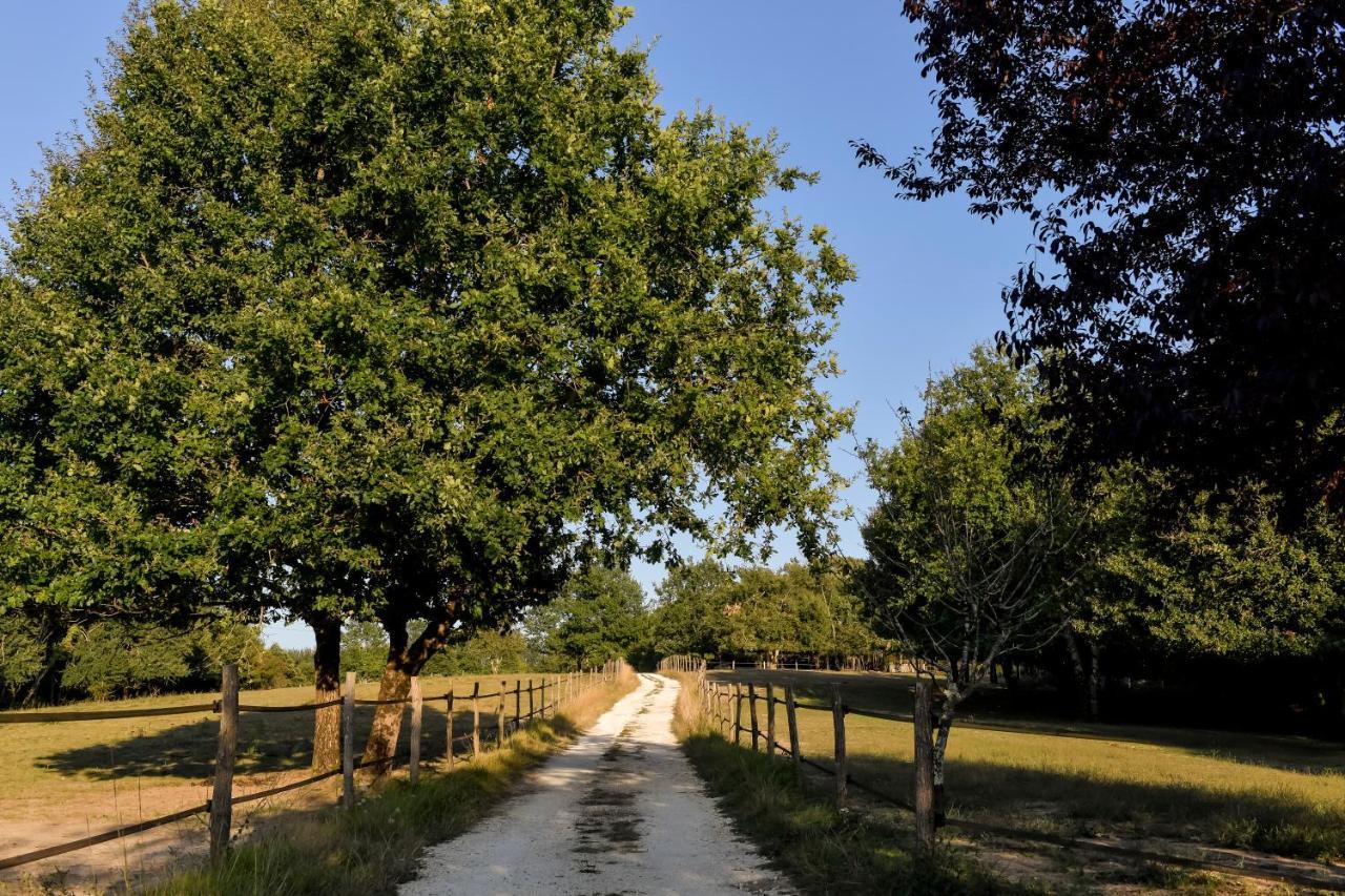 Domaine verte vallée Lignan-de-Bordeaux Exterior foto
